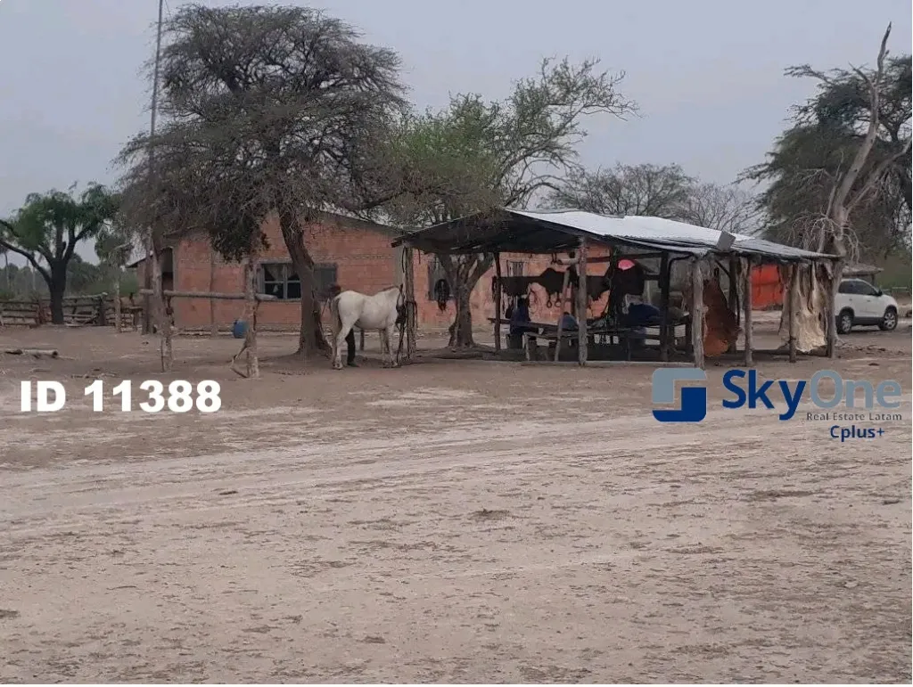 🐄🐂🌳 VENDO ESTANCIA EN ALTO PARAGUAY-FORTIN FLORIDA, 1500HAS🌳🐂🐄 — foto 3