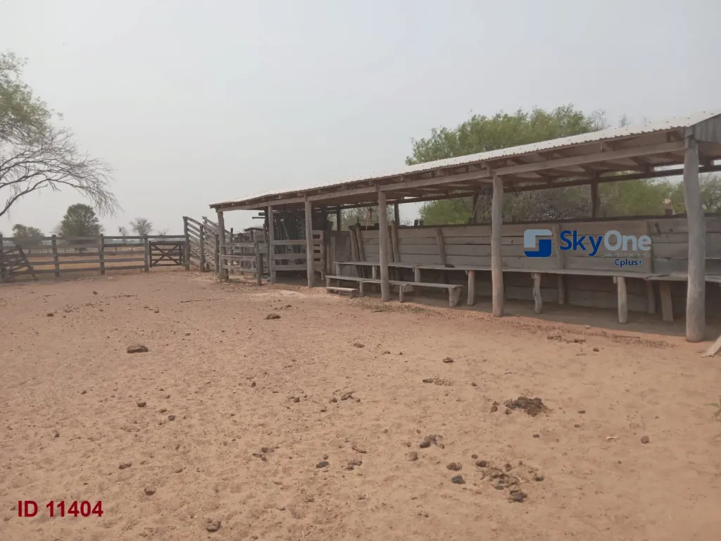 🐄🐂🌳 VENDO ESTANCIA EN ALTO PARAGUAY-FORTIN FLORIDA, 1600 HAS🌳🐂🐄 — foto 2