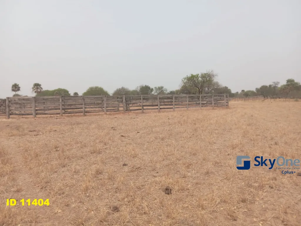 🐄🐂🌳 VENDO ESTANCIA EN ALTO PARAGUAY-FORTIN FLORIDA, 1600 HAS🌳🐂🐄 — foto 3