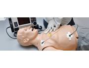 Simuladores y maquetas para el área de medicina y veterinaria