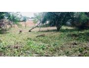 vendo terreno1130 metros 39 x30 amurallado zona leopardi