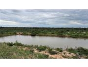 EN VENTA CAMPO GANADERO EN NEULAND- CHACO CENTRAL