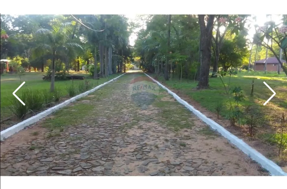 VENDO TERRENO + DE 4 HECTÁREAS CCASA QUINTA SAN BERNARDINO BO.CRISTOBAL COLON A PASOS RUT — foto 2