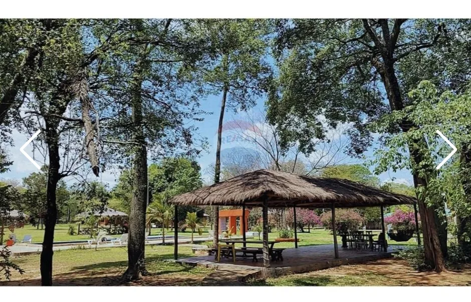 VENDO TERRENO + DE 4 HECTÁREAS CCASA QUINTA SAN BERNARDINO BO.CRISTOBAL COLON A PASOS RUT — foto 3