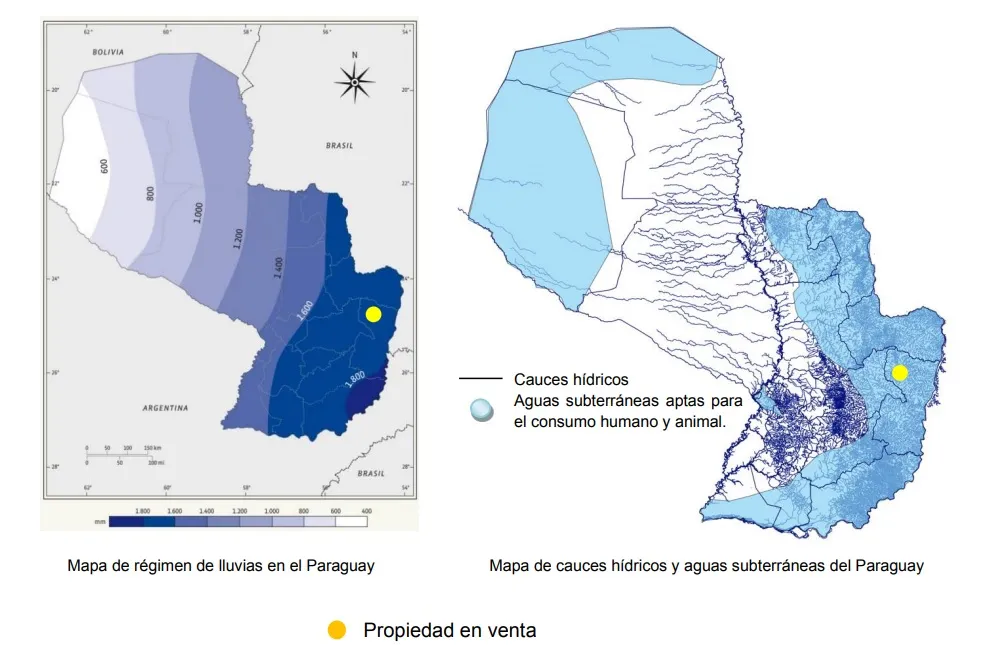 SANTA RITA, ALTO PARANÁ: 1.223 HS MECANIZADAS NETAMENTE AGRÍCOLA, ALTO RENDIMIENTO, BOSQUE — foto 2
