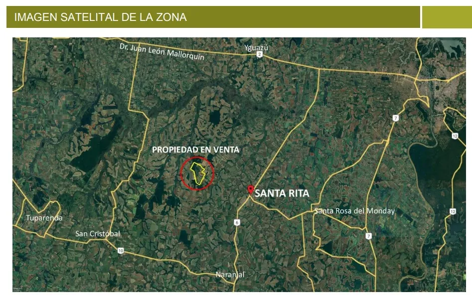 SANTA RITA, ALTO PARANÁ: 1.223 HS MECANIZADAS NETAMENTE AGRÍCOLA, ALTO RENDIMIENTO, BOSQUE — foto 3