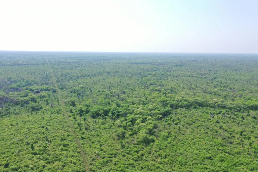 CHOVORECA, ALTO PARAGUAY: 11.500 HAS, TIERRA COLORADAARENOSA, CAMPO LIBRE INFRAESTRUTURA. — foto 2