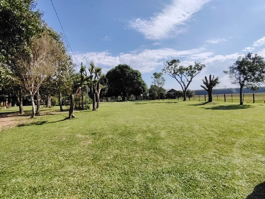 EN VENTA CAMPO DE 20 HECTAREAS SOBRE RUTA 1 — foto 2
