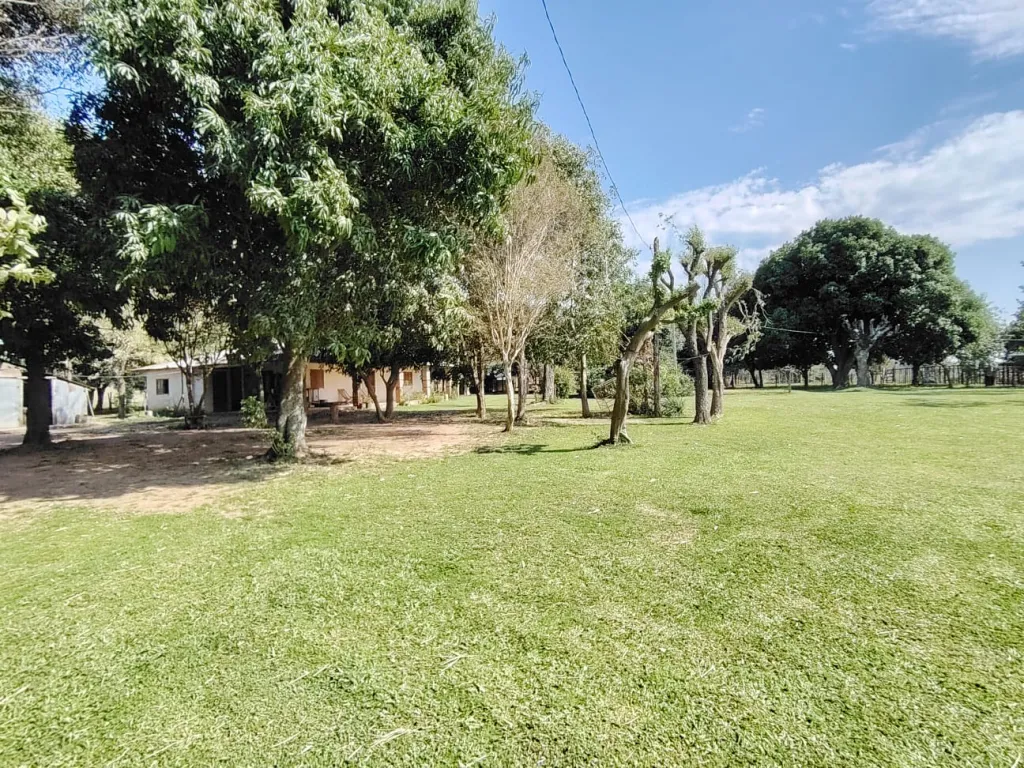 EN VENTA CAMPO DE 20 HECTAREAS SOBRE RUTA 1 — foto 3