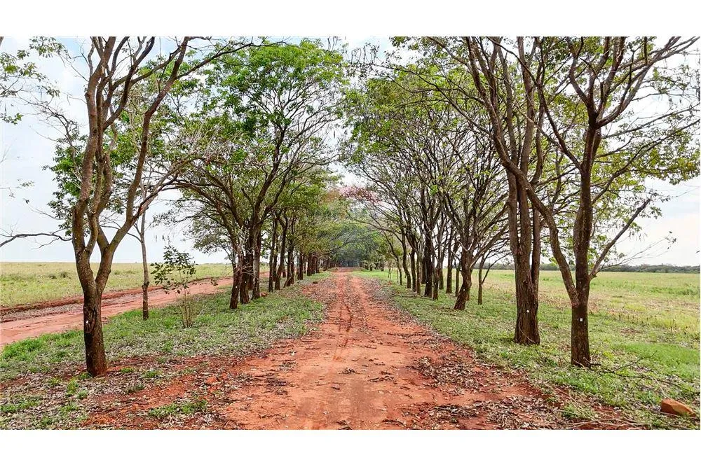 EstanciaCampo - Venta - Nueva Germania, Paraguay — foto 2