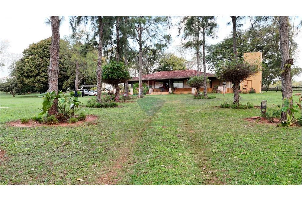 EstanciaCampo - Venta - Nueva Germania, Paraguay — foto 3