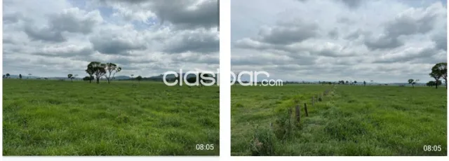 PEDRO JUAN CABALLERO - CERCA DE ARAL MOREIRA - CAMPO AGRO GANADERO - 1.700 Has — foto 2