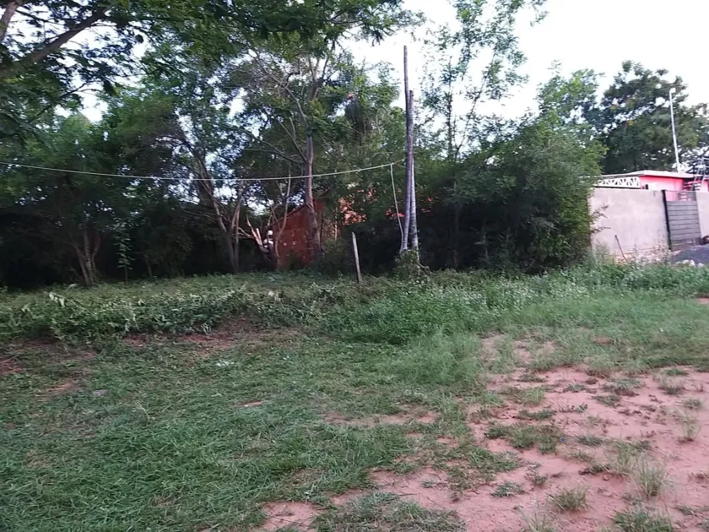 Terreno en Salado, Limpio — foto 2