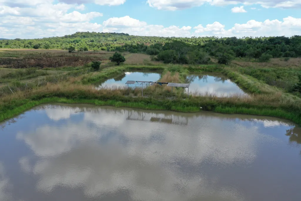 VENDO PROPIEDAD DE 1 HECTAREA SOBRE RUTA EN ATYRA — foto 2