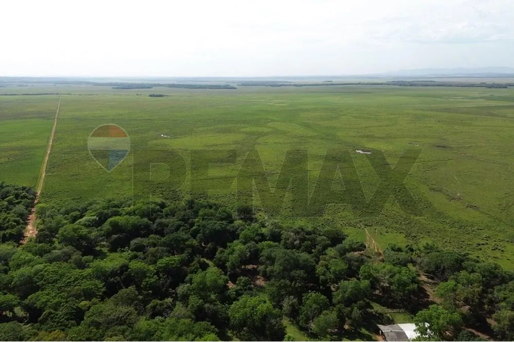 VENDO ESTANCIA EN CAAGUAZU CORONEL OVIEDO — foto 3