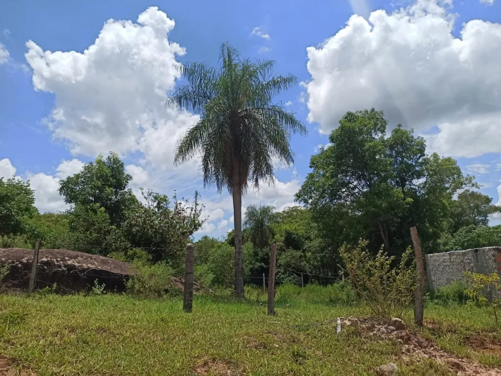 Terreno en venta en Chololo, Piribebuy — foto 2