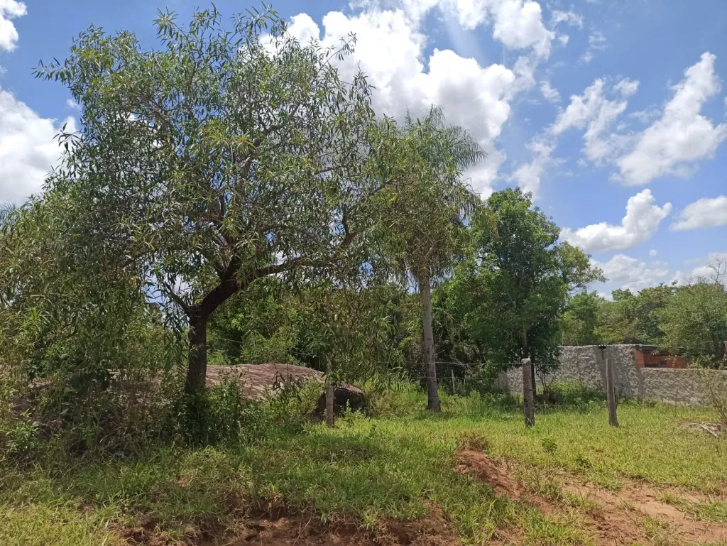 Terreno en venta en Chololo, Piribebuy — foto 3