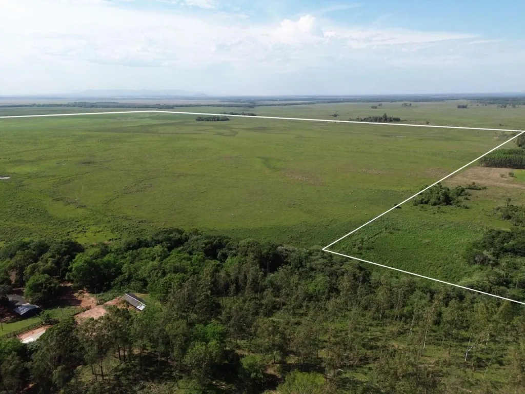 Vendo Estancia de 203 hectáreas en Coronel Oviedo — фото 2
