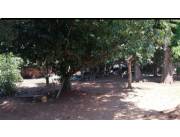 Vendo terreno cod 3540