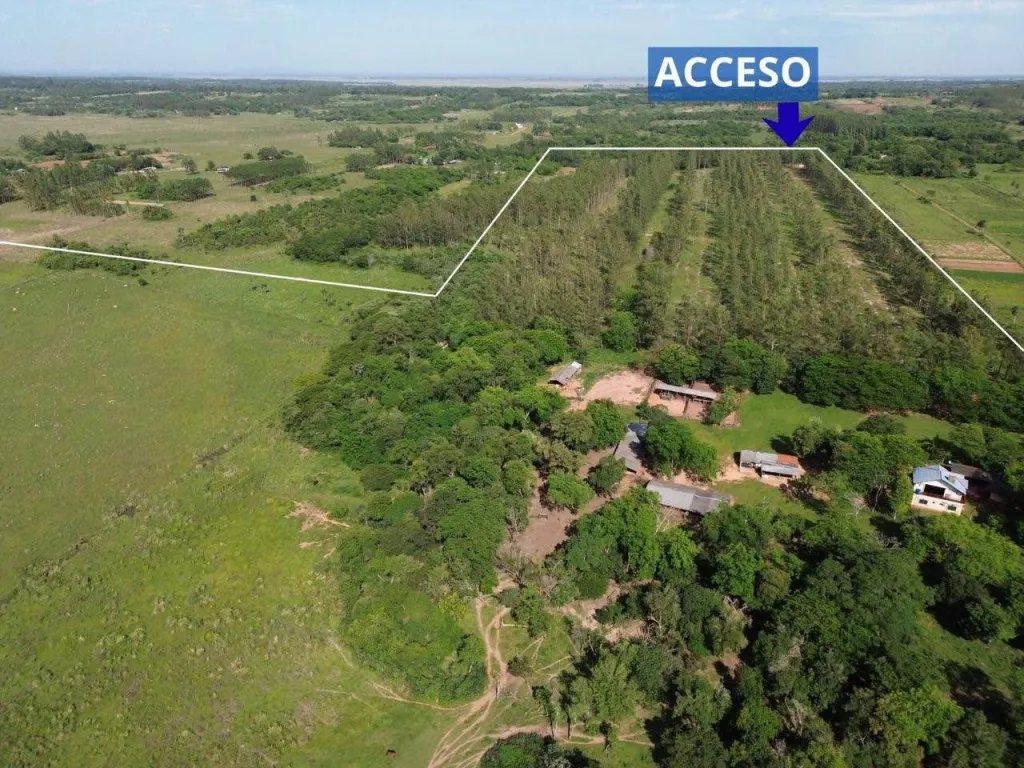 Terreno en venta en Manzana aguapety, Coronel Oviedo — foto 3