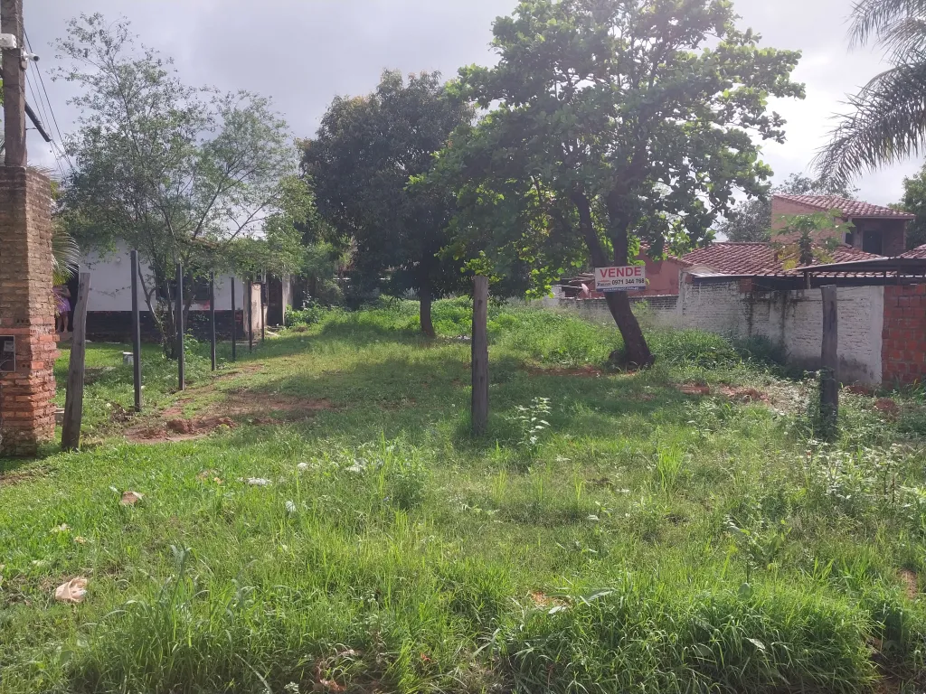 HERMOSO TERRENO DE 380 M2 EN M.R. ALONSO — foto 3