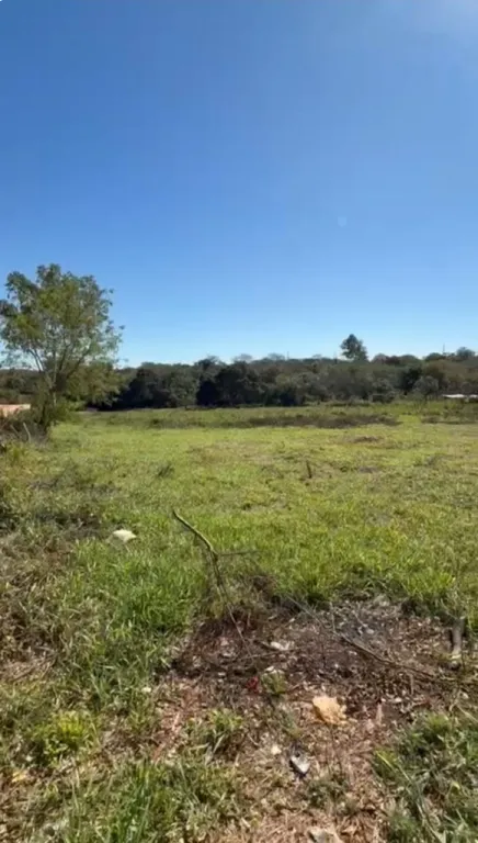 Vendo terreno de 6.235 m2 sobre Ruta Paso de Oro, Ypané — foto 2