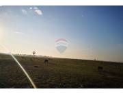 TERRENO DE 7 HA EN BENJAMIN ACEVAL