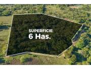¡VENDO 6 HECTAREAS EN ALTOS!