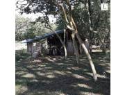 Venta ESTANCIA DE 205 HS EN SAN JUAN MISIONES 205 Hectáreas sobre ruta Py N1