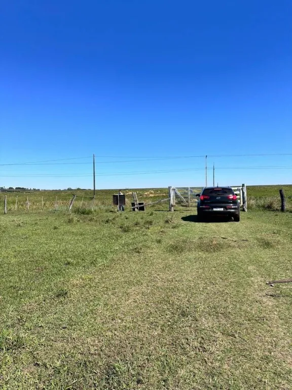 VENDO AMPLIO TERRENO RURAL DE 45 Há EN CORONEL OVIEDO, SOBRE RUTA PY08, ZONA CHIRCATY — foto 2