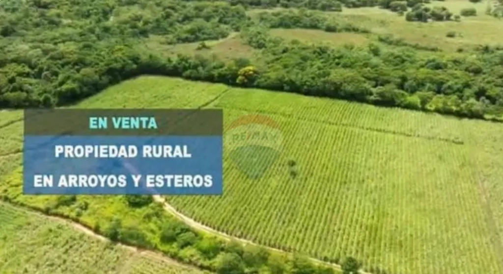 VENDO 55 HECTÁREAS EN ARROYOS Y ESTEROS-CORDILLERA C80 MTRS DE PLAYA SRIO MANDUVIRA — foto 3