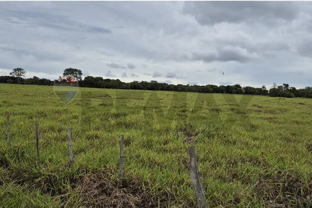 VENDO 220 HECTAREAS EN SAN ESTANISLAO — foto 2