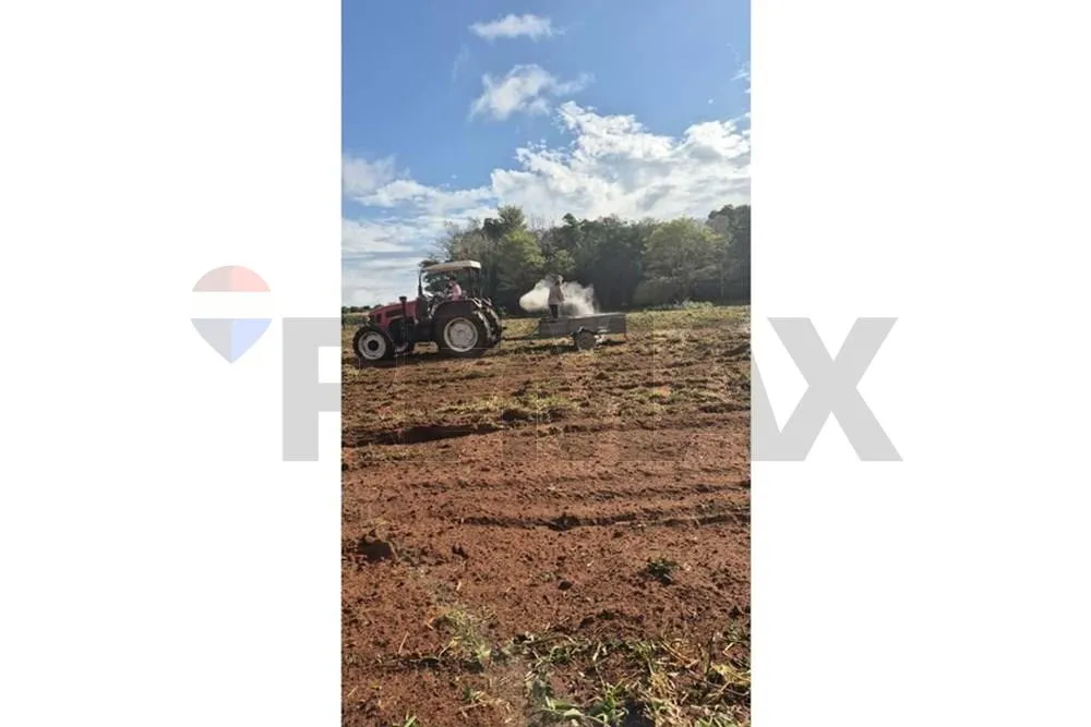 VENDO 220 HECTAREAS EN SAN ESTANISLAO — foto 3