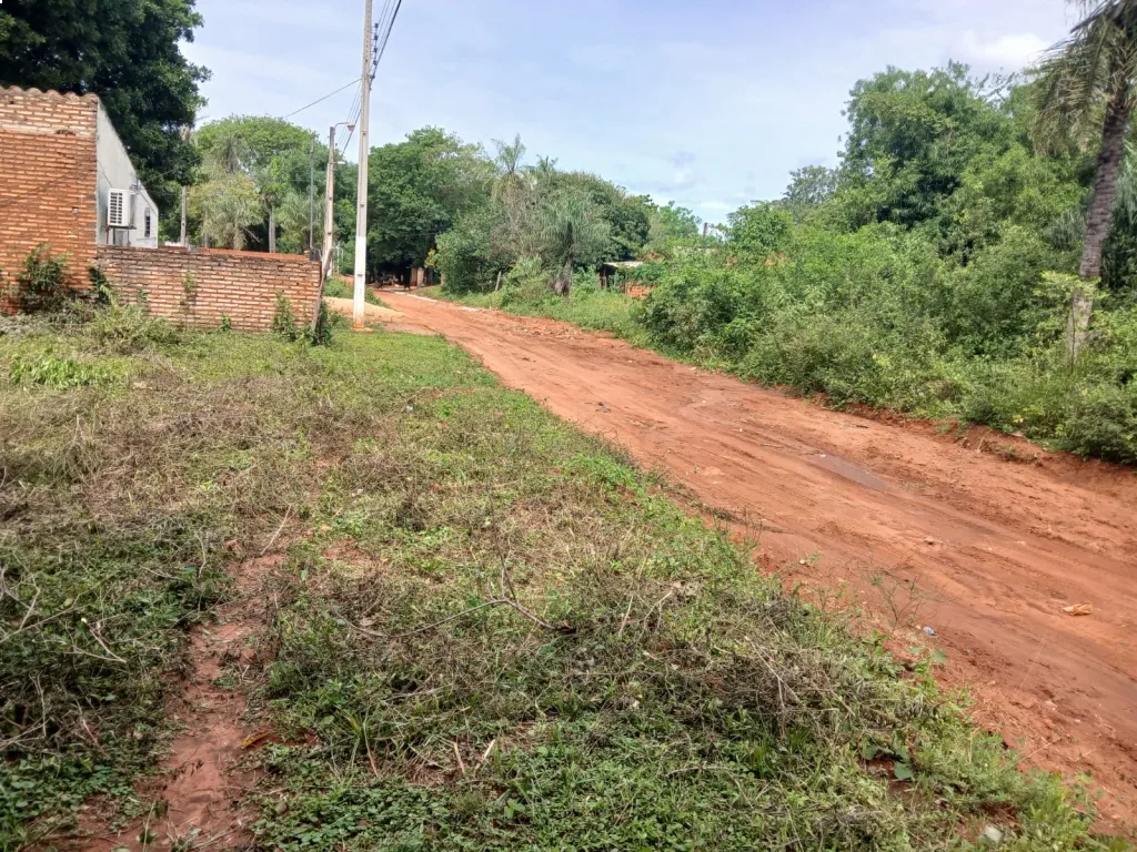 REMATO 3 TERRENOS EN CAPIATA - TOLEDO CAÑADA!!! — foto 2