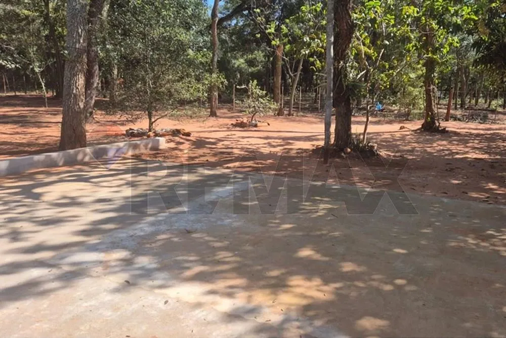 VENDO 220 HECTAREAS EN SAN ESTANISLAO!! — foto 2