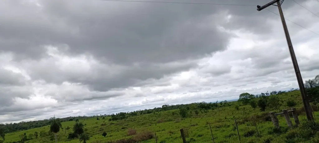GANADERA — foto 2