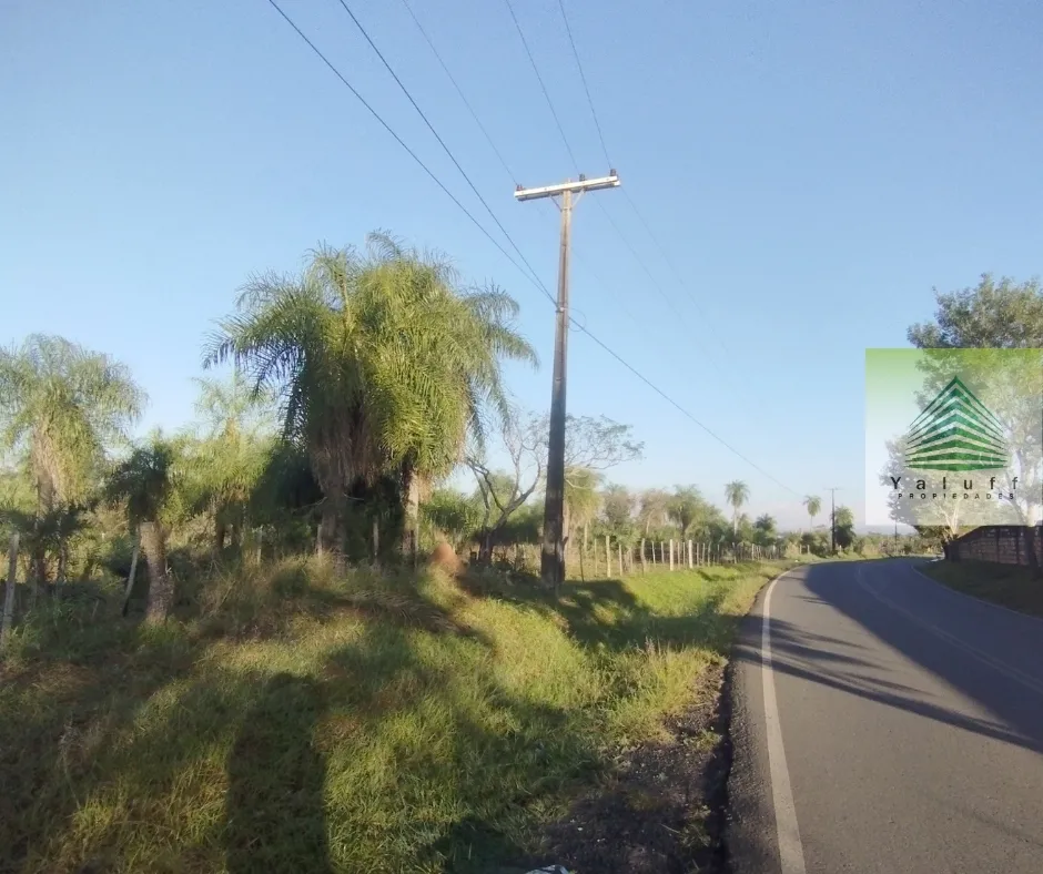 TERRENO PARA INDUSTRIA O LOGÍSTICA 15 HAS SOBRE ASFALTO EN VILLETA ZONA PUERTO SEGURO — foto 2