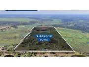 VENDO 50 HECTÁREAS EN JOSE FALCON VILLA HAYES C/500 MTRS DE FRENTE A 1800 MTRS D RUTA INTE