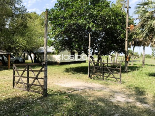 Propiedades rurales - VENDO AMPLIA GRANJA DE 13 Há EN VILLETA