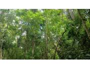 Oferta de 1 ha.en Nueva Colombia