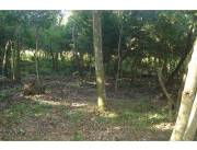 Venta de Amplio Terreno (1368 M2) en Eusebio Ayala – A 1,5 Km Desvío Piribebuy