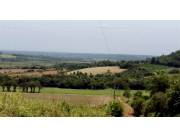 Campo Agrícola Mecanizado en San Pedro del Paraná - 90 Ha.