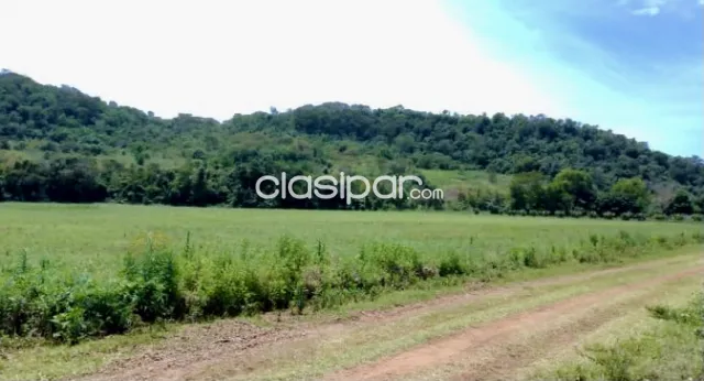 Campo Agrícola Mecanizado en San Pedro del Paraná - 90 Ha. — foto 2