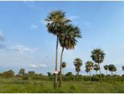 Vendo Terreno en Nueva Asunción (Villa Hayes)