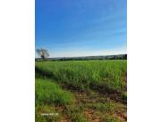 Campo Agrícola/Ganadero en Caaguazú - 49 Ha.