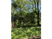 Se vende Terreno en San Bernardino ID 41842