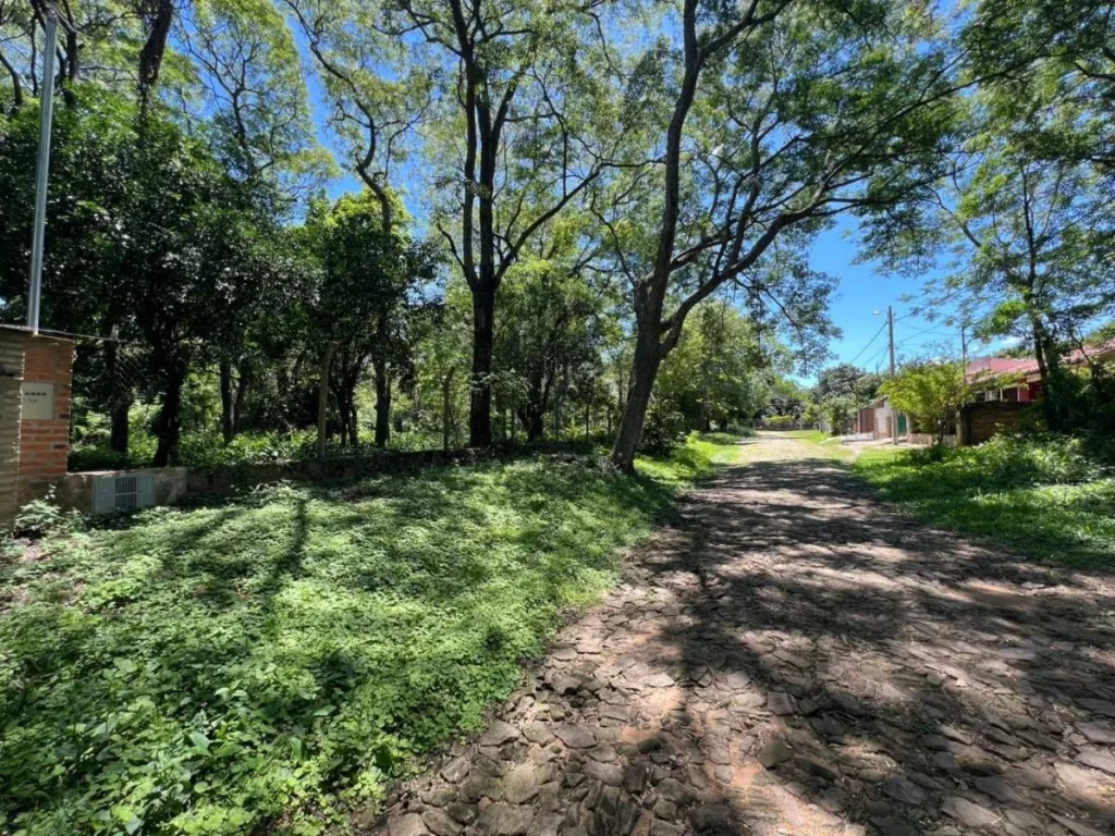 Se vende Terreno en San Bernardino ID 41842 — foto 2
