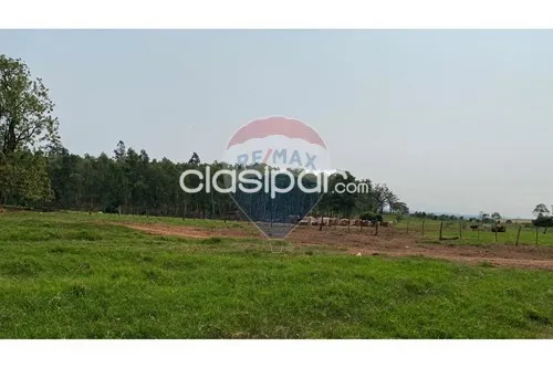 Estancia Agropecuaria de 10.000 hectáreas en Caaguazu — фото 2