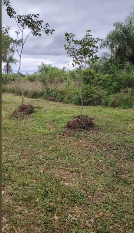 Se vende terreno en san Bernardino ID 41657 — foto 2