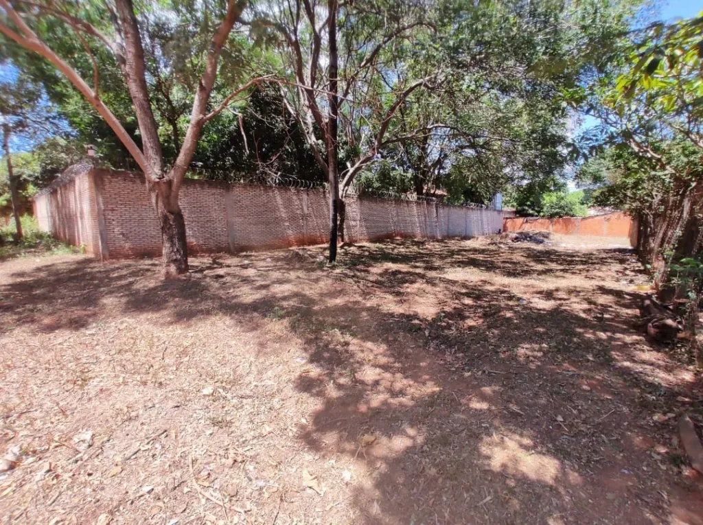 VENDO TERRENO EN LUQUE MORA CUE 520 M2 — foto 3